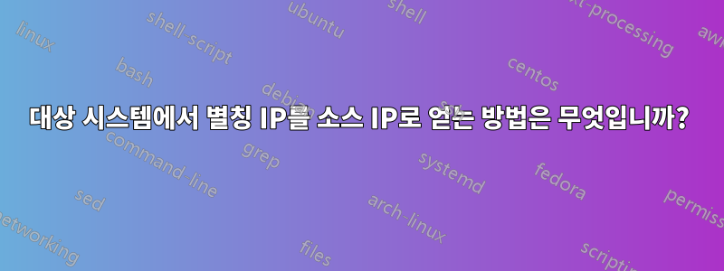 대상 시스템에서 별칭 IP를 소스 IP로 얻는 방법은 무엇입니까?