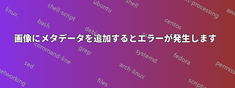 画像にメタデータを追加するとエラーが発生します 