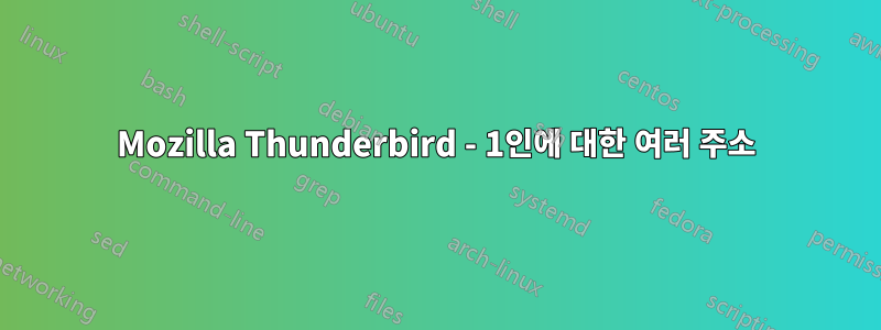 Mozilla Thunderbird - 1인에 대한 여러 주소