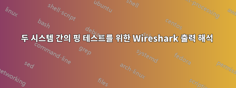 두 시스템 간의 핑 테스트를 위한 Wireshark 출력 해석