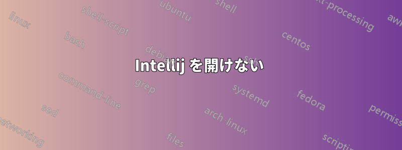 Intellij を開けない