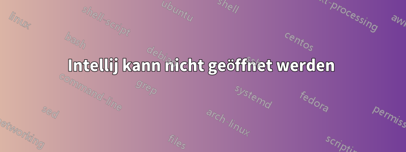 Intellij kann nicht geöffnet werden