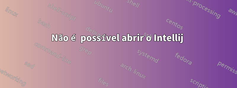 Não é possível abrir o Intellij