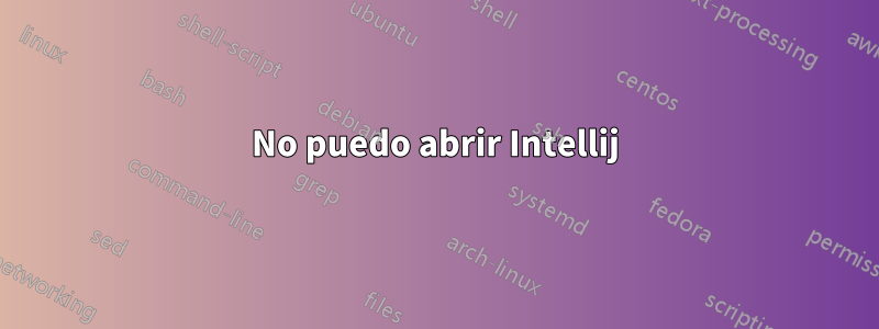 No puedo abrir Intellij