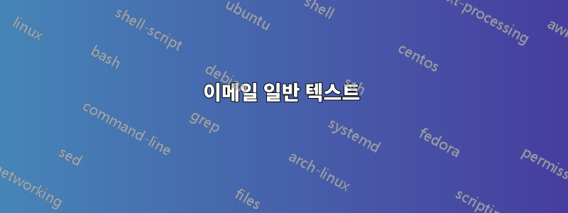 이메일 일반 텍스트