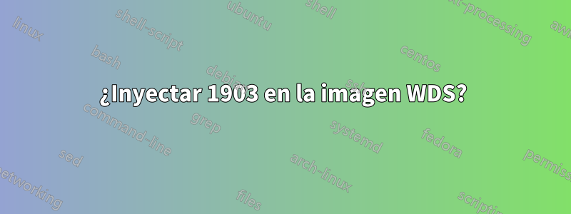 ¿Inyectar 1903 en la imagen WDS?