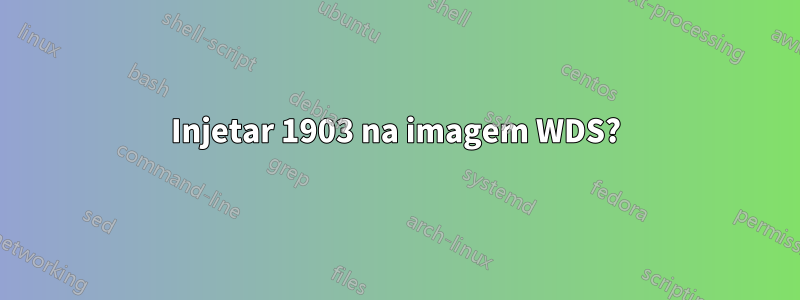 Injetar 1903 na imagem WDS?