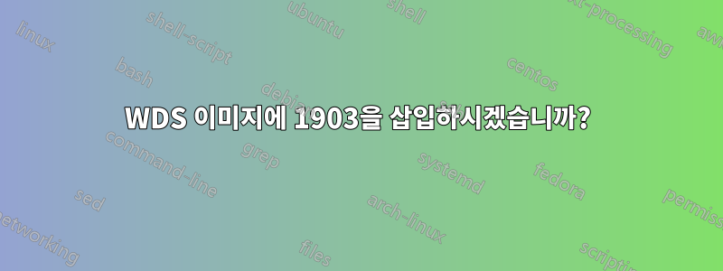 WDS 이미지에 1903을 삽입하시겠습니까?