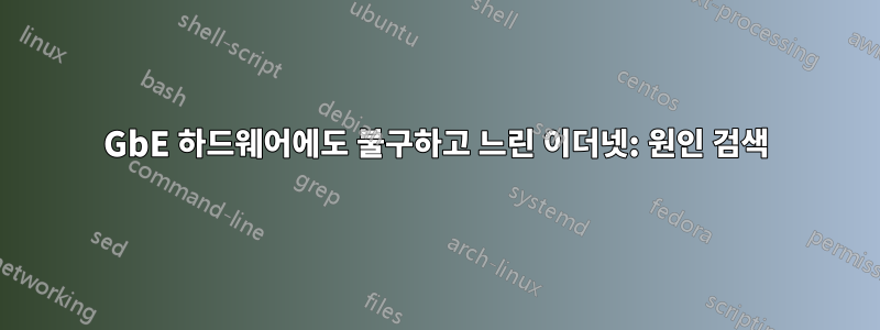 GbE 하드웨어에도 불구하고 느린 이더넷: 원인 검색