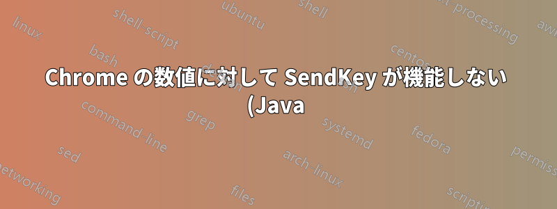 Chrome の数値に対して SendKey が機能しない (Java)
