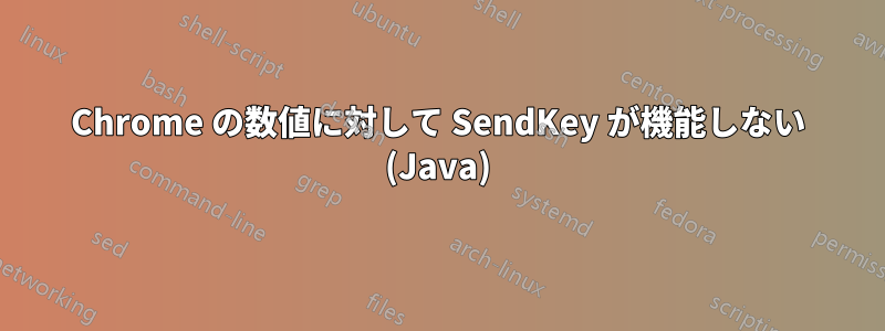 Chrome の数値に対して SendKey が機能しない (Java)