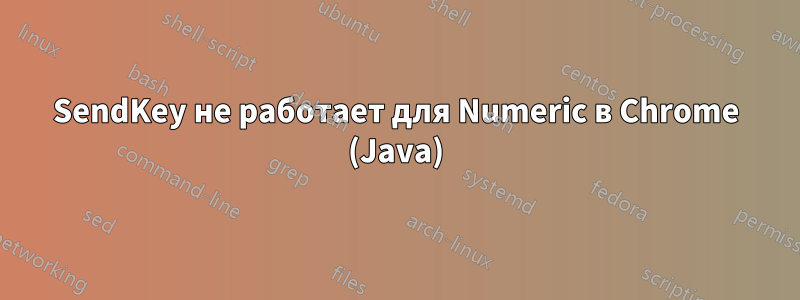 SendKey не работает для Numeric в Chrome (Java)