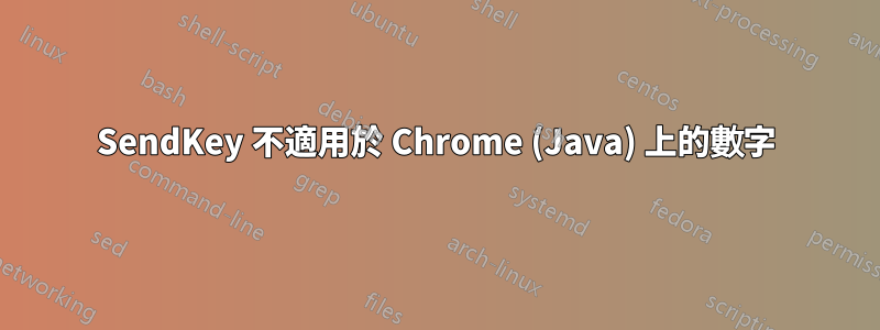 SendKey 不適用於 Chrome (Java) 上的數字