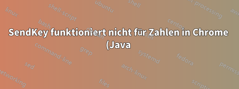 SendKey funktioniert nicht für Zahlen in Chrome (Java).