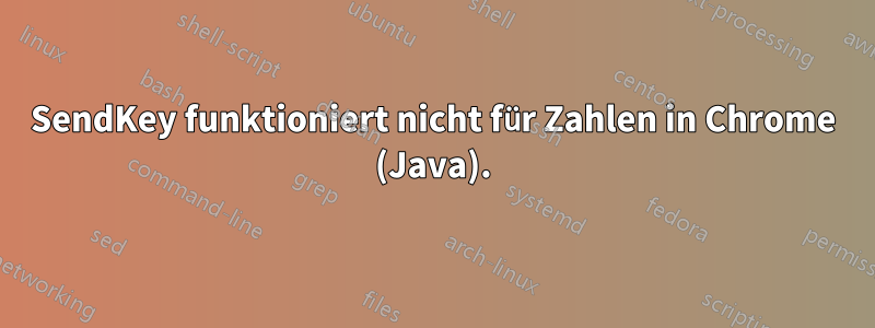 SendKey funktioniert nicht für Zahlen in Chrome (Java).