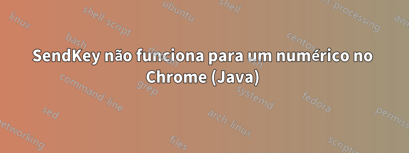 SendKey não funciona para um numérico no Chrome (Java)