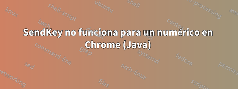 SendKey no funciona para un numérico en Chrome (Java)