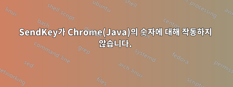 SendKey가 Chrome(Java)의 숫자에 대해 작동하지 않습니다.