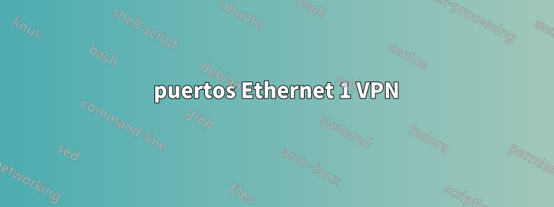 2 puertos Ethernet 1 VPN