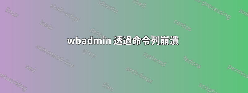 wbadmin 透過命令列崩潰