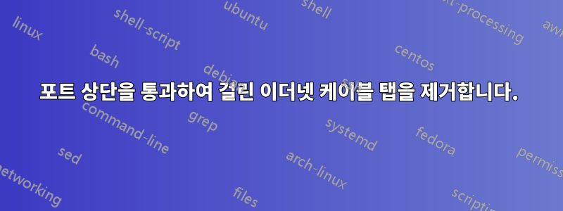 포트 상단을 통과하여 걸린 이더넷 케이블 탭을 제거합니다.