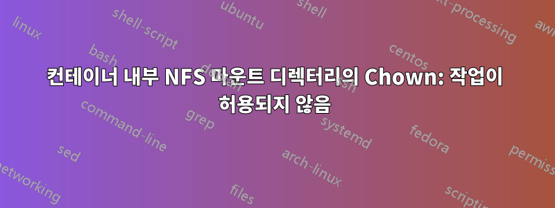 컨테이너 내부 NFS 마운트 디렉터리의 Chown: 작업이 허용되지 않음