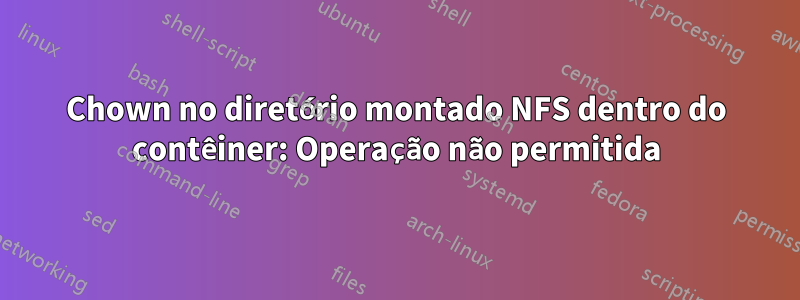 Chown no diretório montado NFS dentro do contêiner: Operação não permitida