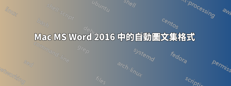 Mac MS Word 2016 中的自動圖文集格式