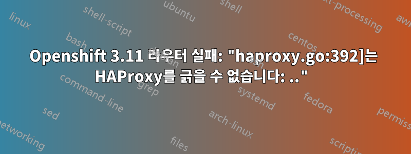 Openshift 3.11 라우터 실패: "haproxy.go:392]는 HAProxy를 긁을 수 없습니다: .."