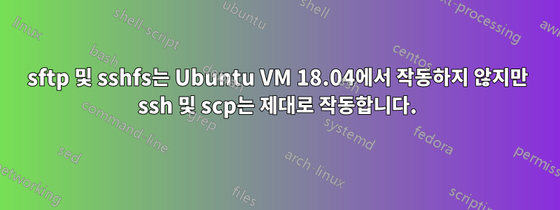 sftp 및 sshfs는 Ubuntu VM 18.04에서 작동하지 않지만 ssh 및 scp는 제대로 작동합니다.