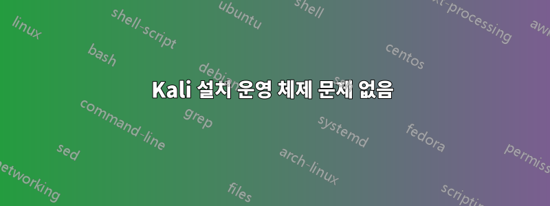 Kali 설치 운영 체제 문제 없음