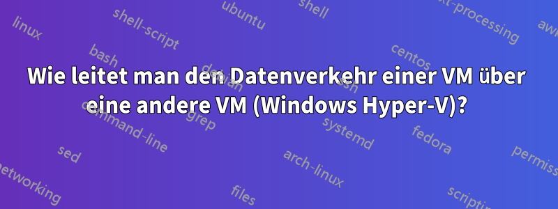 Wie leitet man den Datenverkehr einer VM über eine andere VM (Windows Hyper-V)?