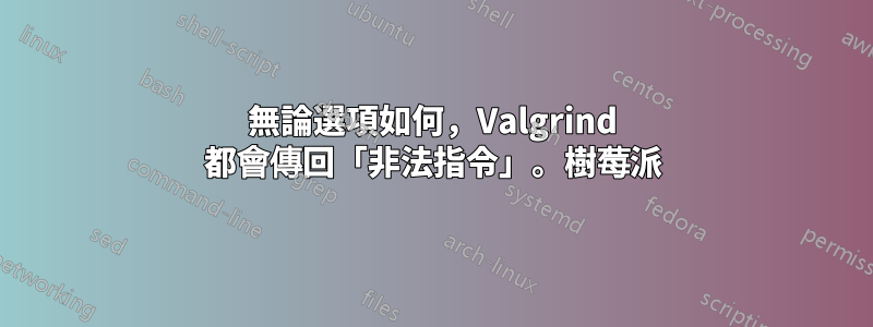 無論選項如何，Valgrind 都會傳回「非法指令」。樹莓派