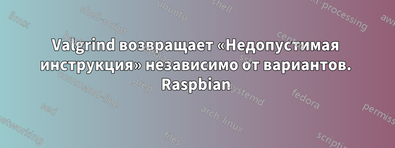 Valgrind возвращает «Недопустимая инструкция» независимо от вариантов. Raspbian