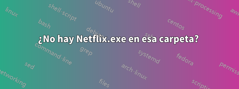 ¿No hay Netflix.exe en esa carpeta?