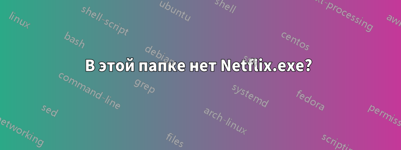 В этой папке нет Netflix.exe?