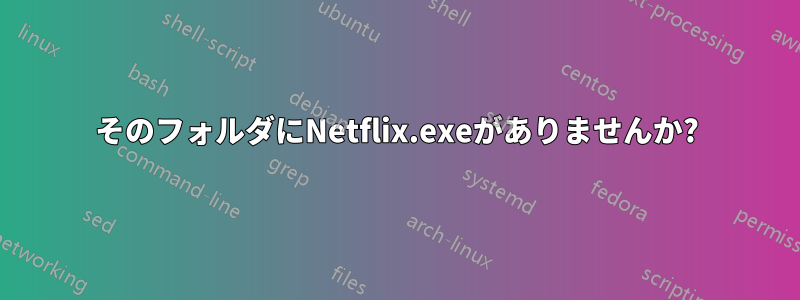 そのフォルダにNetflix.exeがありませんか?