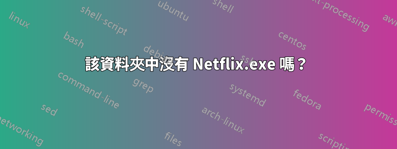 該資料夾中沒有 Netflix.exe 嗎？