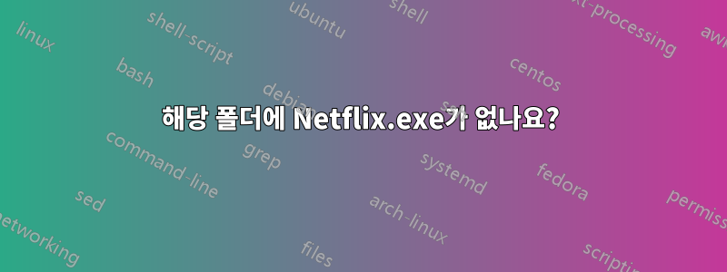 해당 폴더에 Netflix.exe가 없나요?