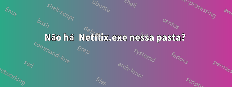 Não há Netflix.exe nessa pasta?