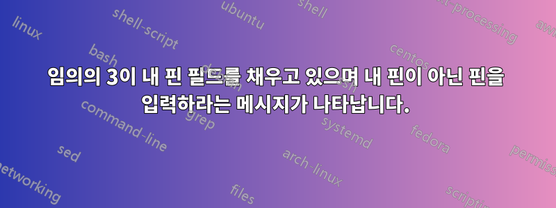 임의의 3이 내 핀 필드를 채우고 있으며 내 핀이 아닌 핀을 입력하라는 메시지가 나타납니다.