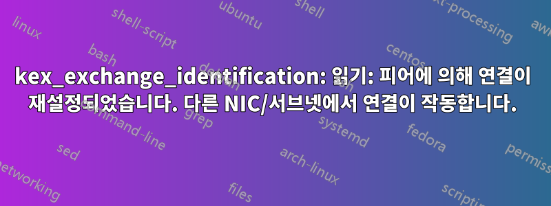 kex_exchange_identification: 읽기: 피어에 의해 연결이 재설정되었습니다. 다른 NIC/서브넷에서 연결이 작동합니다.