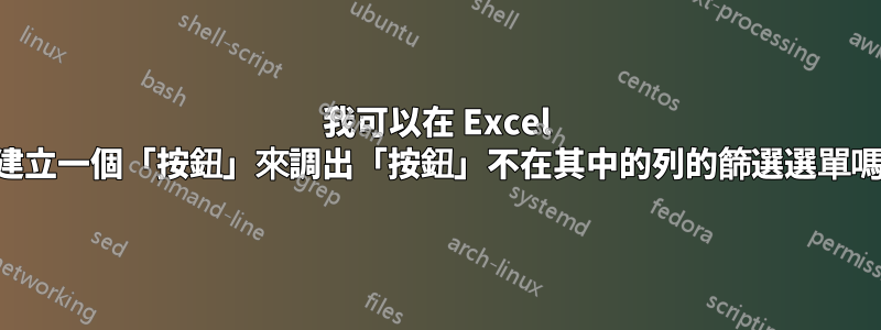 我可以在 Excel 中建立一個「按鈕」來調出「按鈕」不在其中的列的篩選選單嗎？