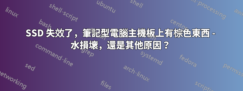 SSD 失效了，筆記型電腦主機板上有棕色東西 - 水損壞，還是其他原因？