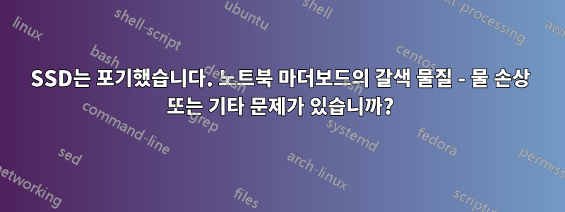 SSD는 포기했습니다. 노트북 마더보드의 갈색 물질 - 물 손상 또는 기타 문제가 있습니까?