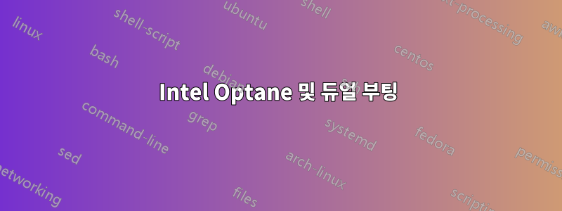 Intel Optane 및 듀얼 부팅