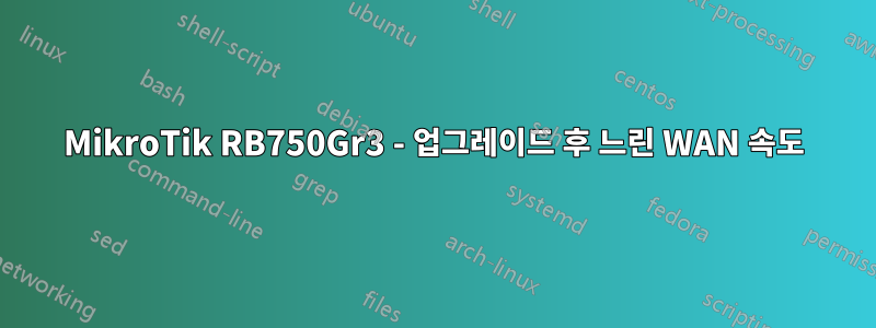 MikroTik RB750Gr3 - 업그레이드 후 느린 WAN 속도