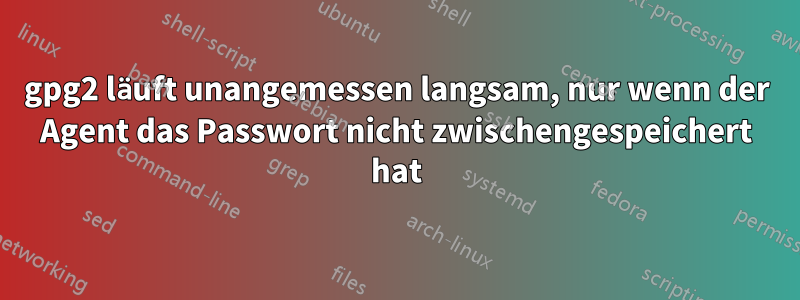 gpg2 läuft unangemessen langsam, nur wenn der Agent das Passwort nicht zwischengespeichert hat