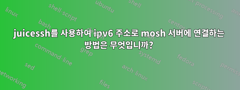 juicessh를 사용하여 ipv6 주소로 mosh 서버에 연결하는 방법은 무엇입니까?