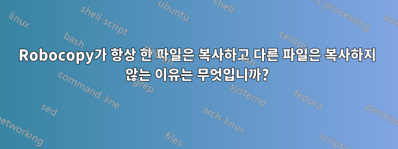 Robocopy가 항상 한 파일은 복사하고 다른 파일은 복사하지 않는 이유는 무엇입니까?